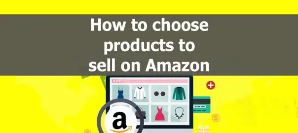 What Sells Best on Amazon