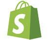 Shopify theme designs