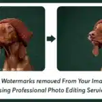 Watermarks removed From Your Images