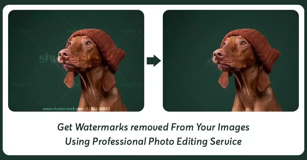 Get Watermarks removed From Your Images Using Professional Photo Editing Service